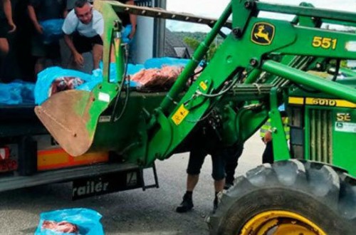 El sector productor condena el ataque francés a dos camiones de carne de cerdo españoles