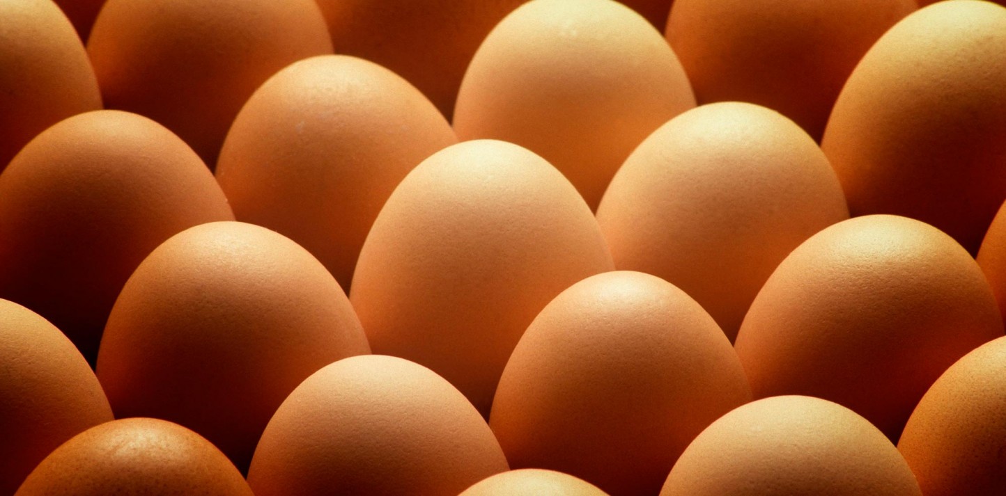 España, entre los siete países que podrán exportar huevos a Estados Unidos