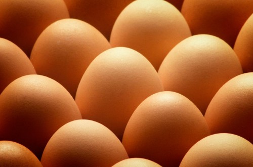 España, entre los siete países que podrán exportar huevos a Estados Unidos