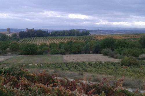 COAG prepara la vendimia con jornadas sobre la aplicación de la Ley de Cadena Alimentaria