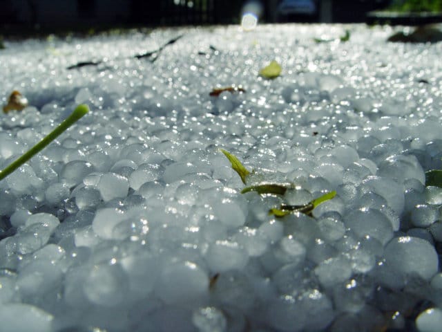 La última tormenta eleva a 3.000 hectáreas la superficie agraria valenciana con daños importantes