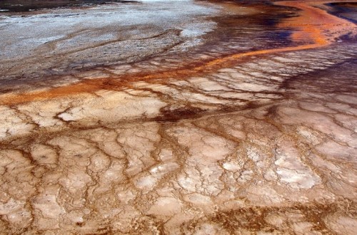 ASAJA Murcia prevé que si no llega agua más del 60% de las hortalizas de otoño se verán afectadas