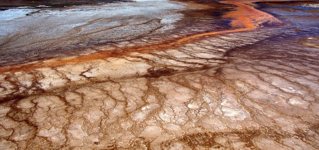 ASAJA Murcia prevé que si no llega agua más del 60% de las hortalizas de otoño se verán afectadas