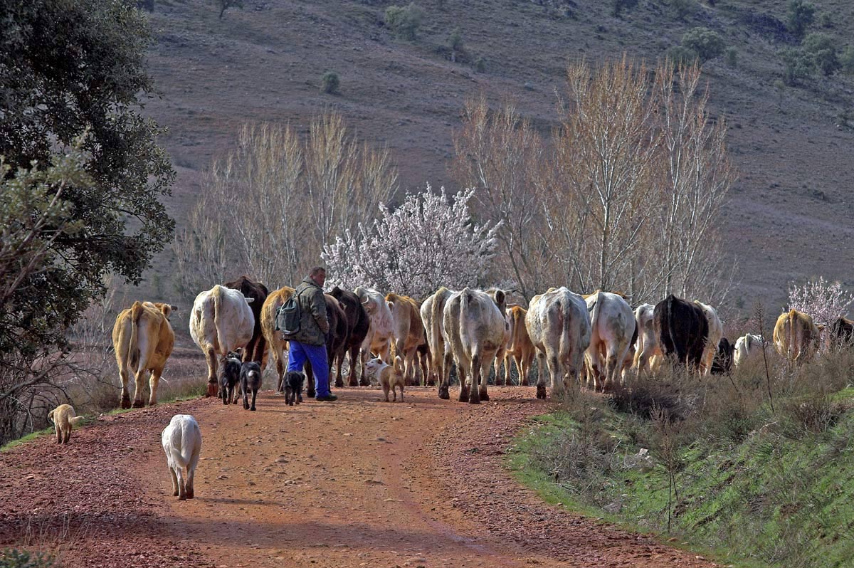 Elanco lanza el certamen fotográfico ‘Una visión de cómo la agricultura alimentará el futuro’