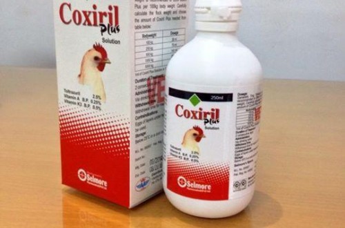 Indukern comercializa Coxiril 0,2% para el control de la coccidiosis en pollos, pavos y pintadas