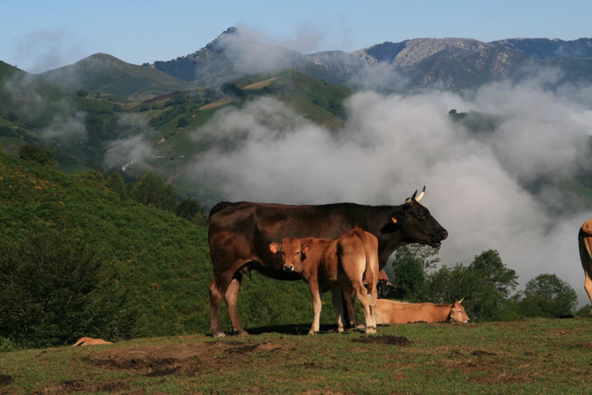 AEMET prevé un otoño con temperaturas más altas en todo el país