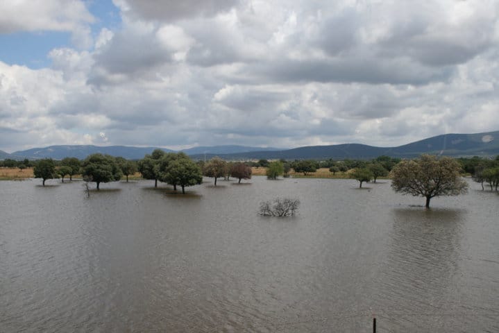 ASAJA de Castilla-La Mancha solicita la declaración de Zona de Actuación Especial