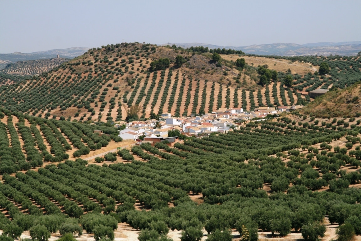 ASAJA-Sevilla demanda más medios y más agentes para frenar la delincuencia en el campo