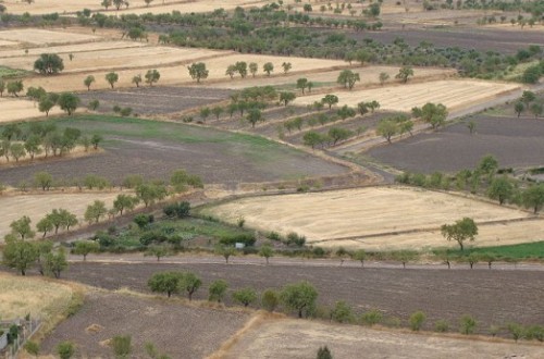La sequía amenaza al sector hortofrutícola murciano, según ASAJA