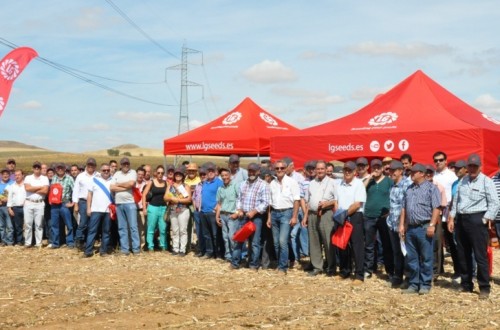 Semillas LG presenta su catálogo de girasol en la I Plataforma de Girasol en Castilla y León