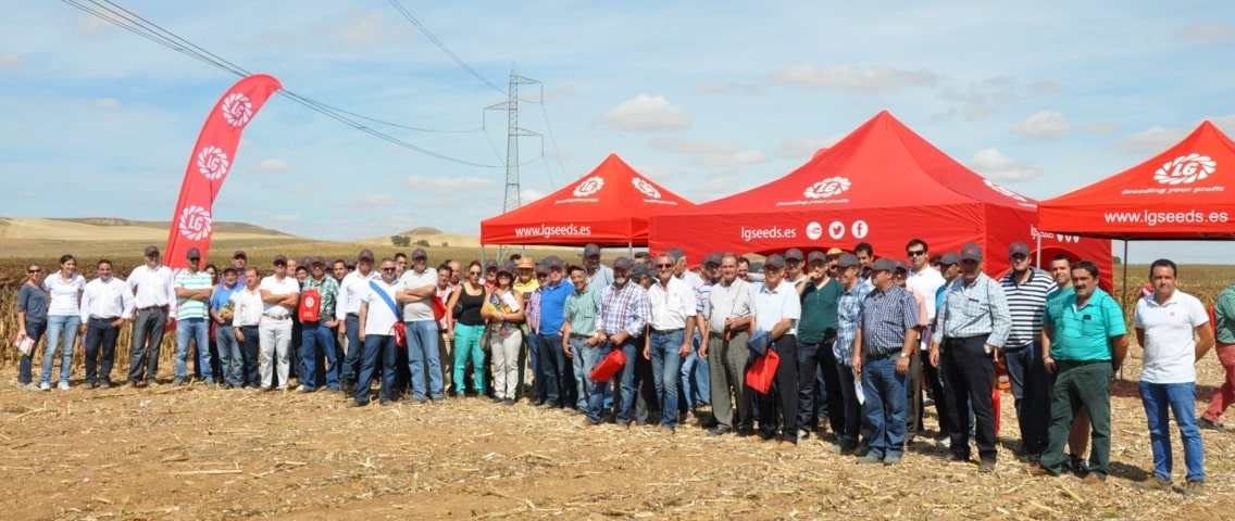 Semillas LG presenta su catálogo de girasol en la I Plataforma de Girasol en Castilla y León