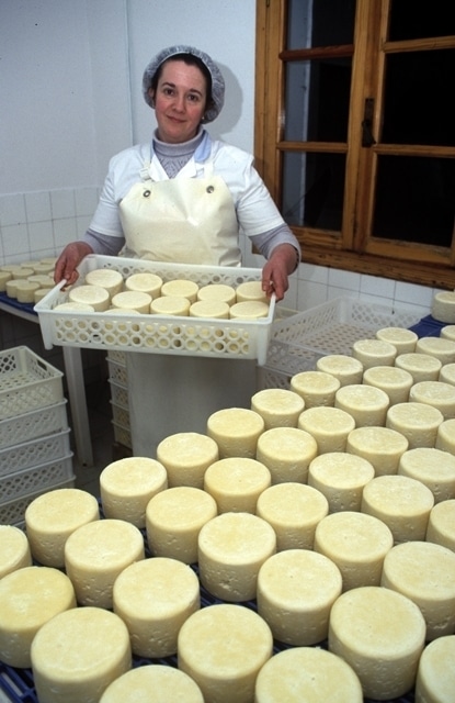 Plan de Acción para relanzar los alimentos artesanos en Castilla y León