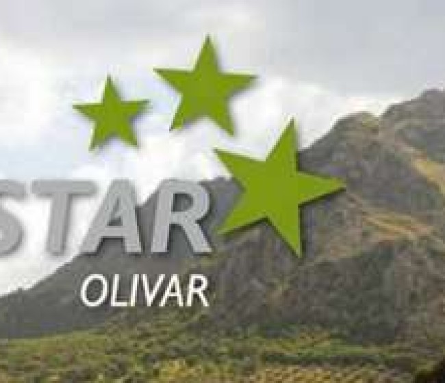 Villanueva del Arzobispo acoge una nueva edición del Plan STAR Olivar
