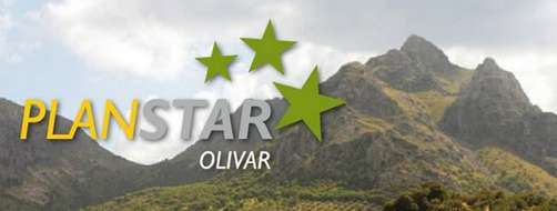 Villanueva del Arzobispo acoge una nueva edición del Plan STAR Olivar