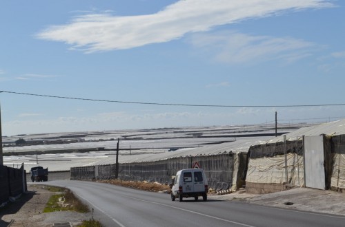 Especial agricultura en Almería