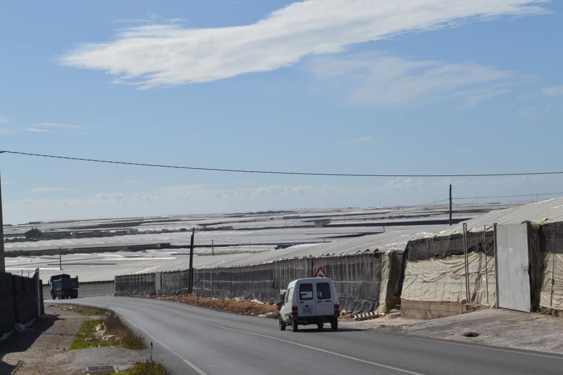 Especial agricultura en Almería