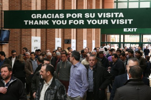 FIMA obtiene su mejor resultado en el cincuentenario del salón