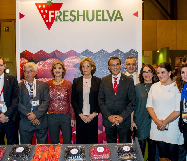 Frutos rojos: 21 empresas se unen a Freshuelva como «partners» para su desarrollo