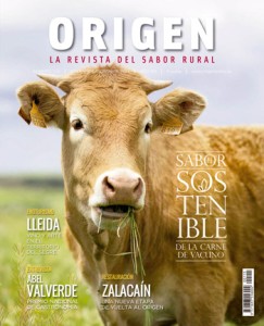 Origen