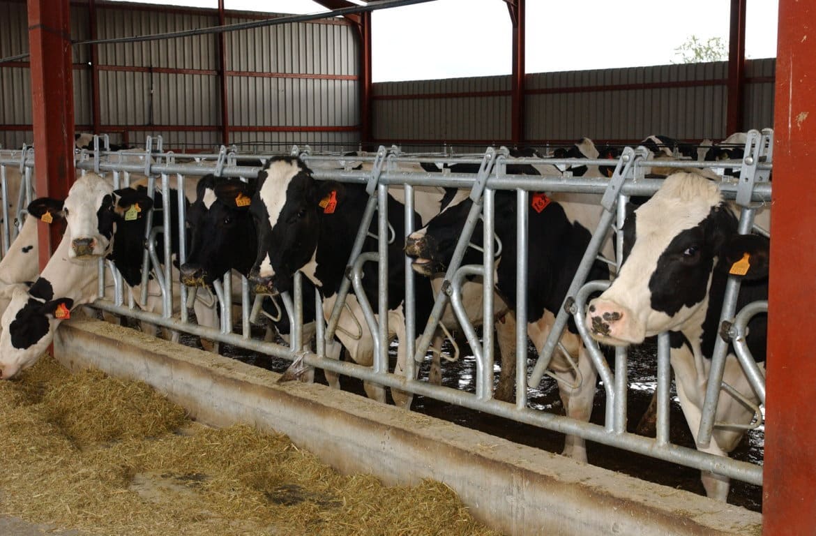 Menos entregas y un 1,7% más de precio por la leche de vaca en septiembre