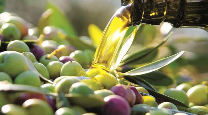 Aceites de Oliva de España pone en marcha un ciclo de Diálogos Saludables