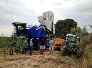 Avances en la recolección mecanizada del cultivo del almendro