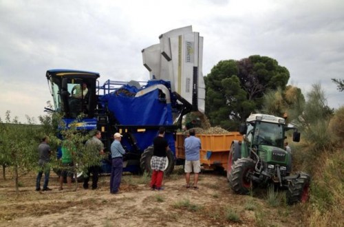 Avances en la recolección mecanizada del cultivo del almendro