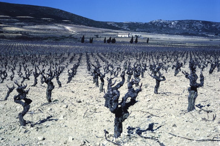 El papel de la agricultura en la lucha contra el cambio climático. Por Jaime Lamo de Espinosa