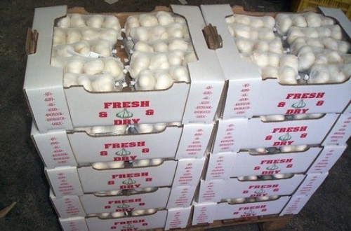 Alerta del sector del ajo sobre los cambios de la CE en materia de importación