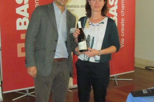 Elegidos los vinos para la semifinal del concurso Catatalentos de Basf