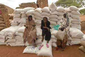 La adversa meteorología hizo subir los precios mundiales de los alimentos en octubre