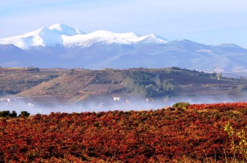 Bruselas aprueba los últimos Programas de Desarrollo Rural españoles 2014–2020