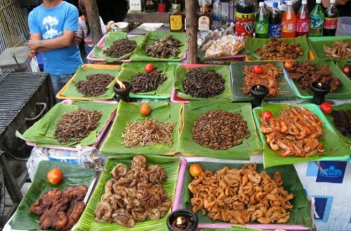 Preguntas y respuestas: nuevo Reglamento sobre nuevos alimentos