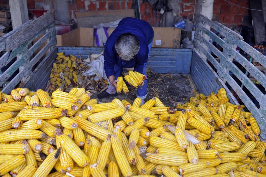 Solo el azúcar se salva de la nueva caída de los precios mundiales de los alimentos en noviembre