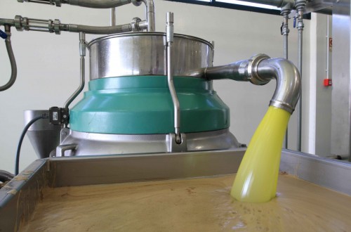 COAG pide mecanismos de estabilidad y garantía de renta para los olivareros