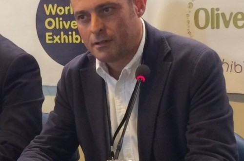 La superficie mundial de olivar representa apenas el 0,7% de la superficie total cultivada en el Planeta