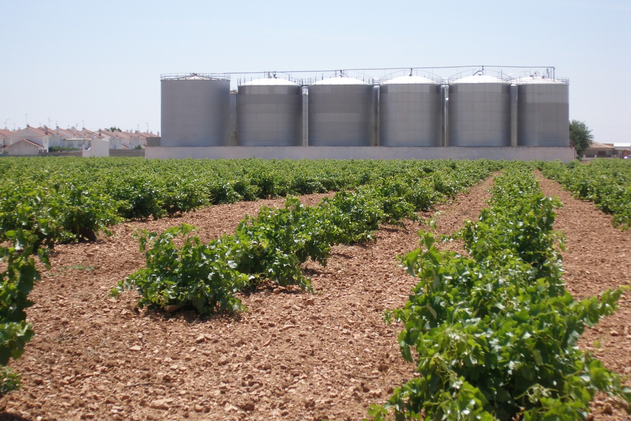 Ciudadanos: por un sistema agroalimentario competitivo y sostenible