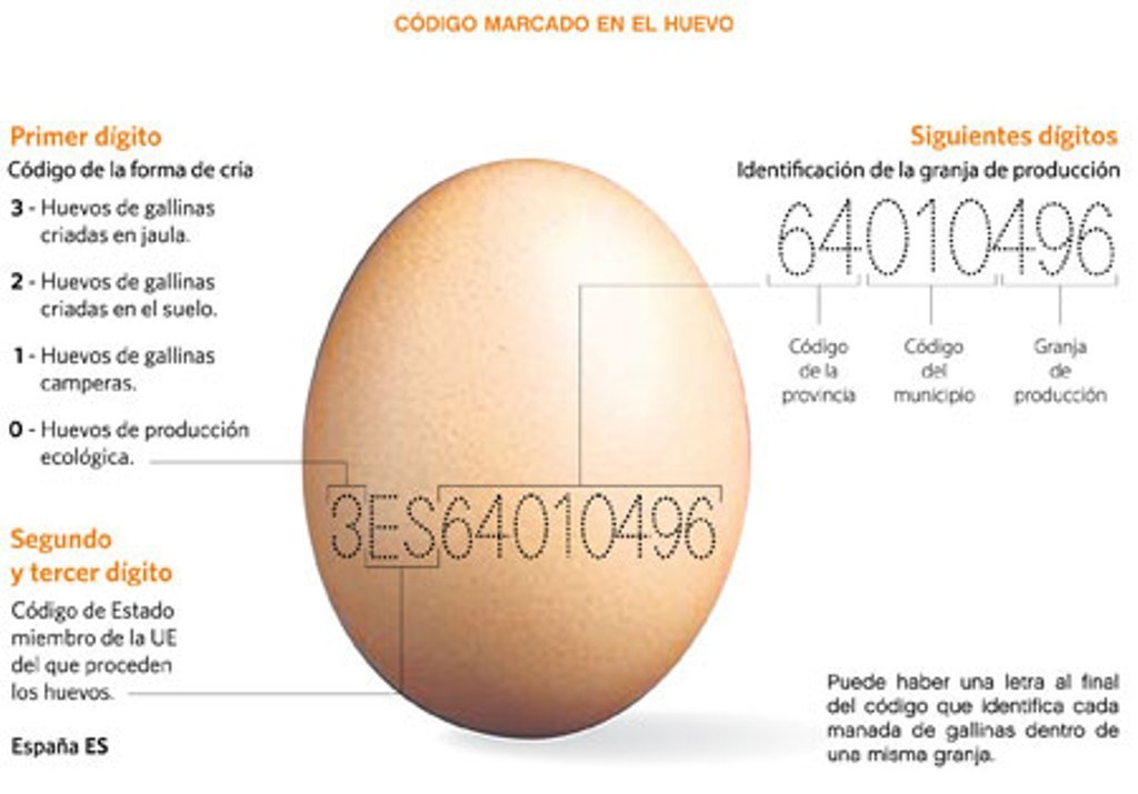España cuadriplica sus exportaciones de huevos a países terceros en 2015