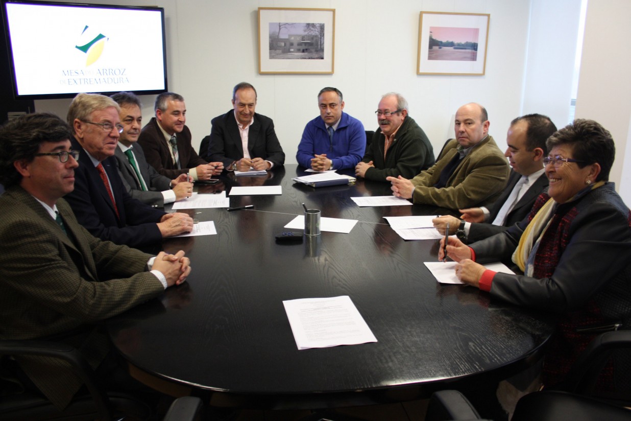 El sector arrocero extremeño constituye la Mesa del Arroz