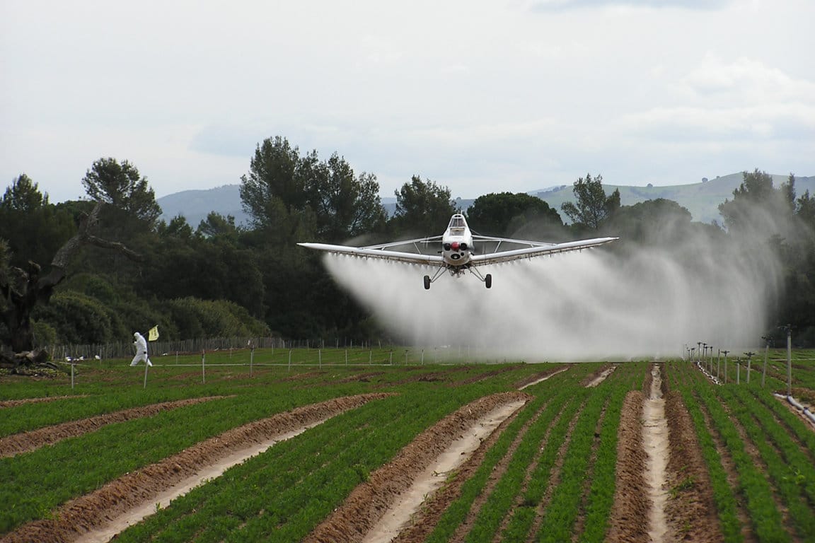 Fungicidas y bactericidas, las sustancias activas fitosanitarias más comercializadas