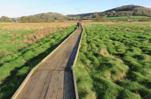 El 75% de las inversiones agrarias no productivas financiadas por la UE no son rentables