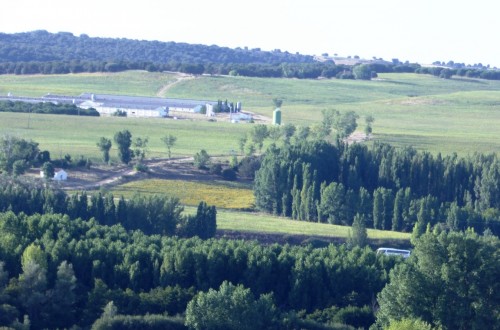 Los consumidores son cada vez más conscientes de la importancia de la PAC, de la agricultura y de las zonas rurales para el futuro de la UE