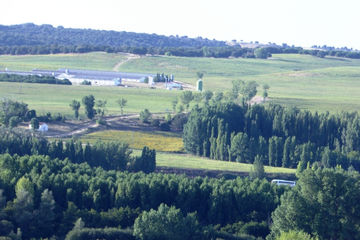 Los consumidores son cada vez más conscientes de la importancia de la PAC, de la agricultura y de las zonas rurales para el futuro de la UE