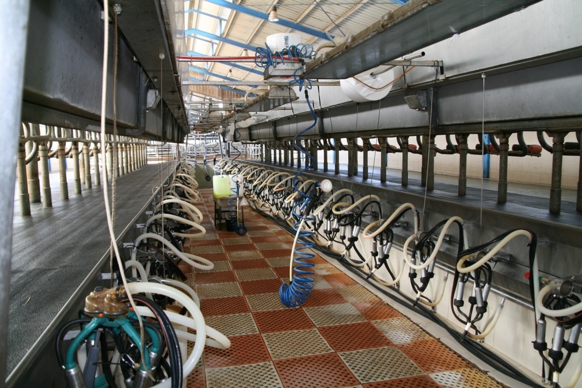 El FEGA resuelve el reparto de 20 M€ de la ayuda  «de minimis» a los productores de leche de vaca