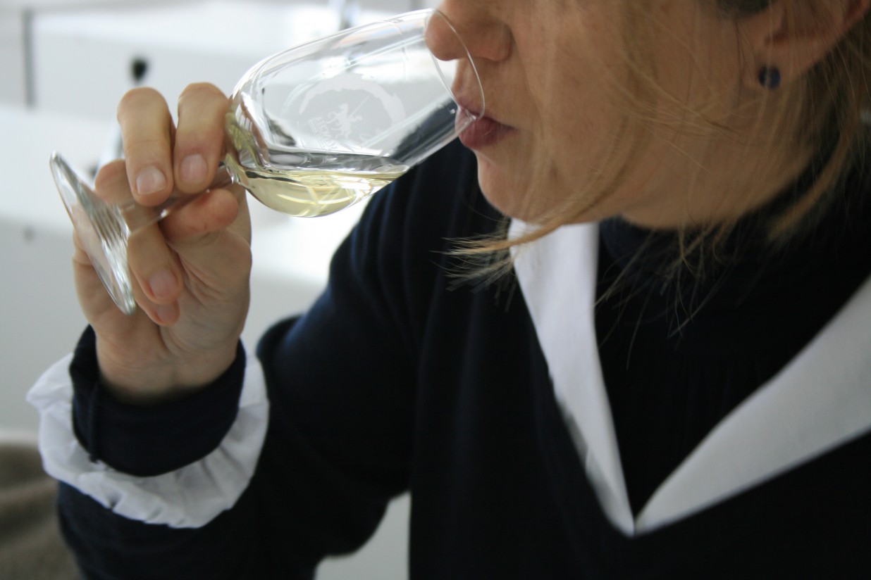 Jornada en Logroño sobre fiscalidad en el sector del vino y políticas de salud pública