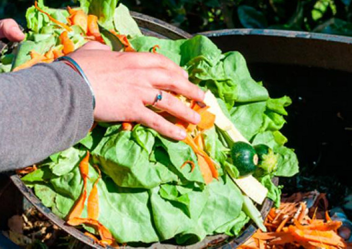 Los hogares españoles tiran a la basura cada año 1.329 millones de kg de alimentos