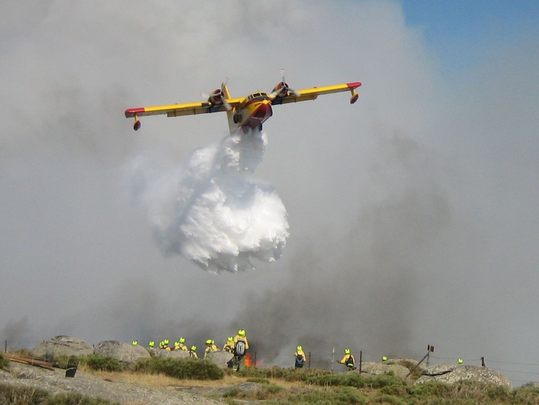 UPA lamenta que se criminalice a los ganaderos por los incendios en el norte