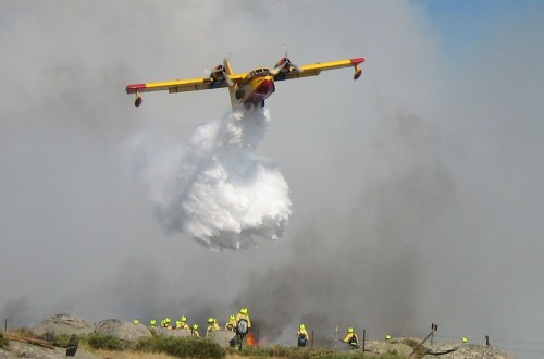 Calor, sequía e incendios. Por Jaime Lamo de Espinosa