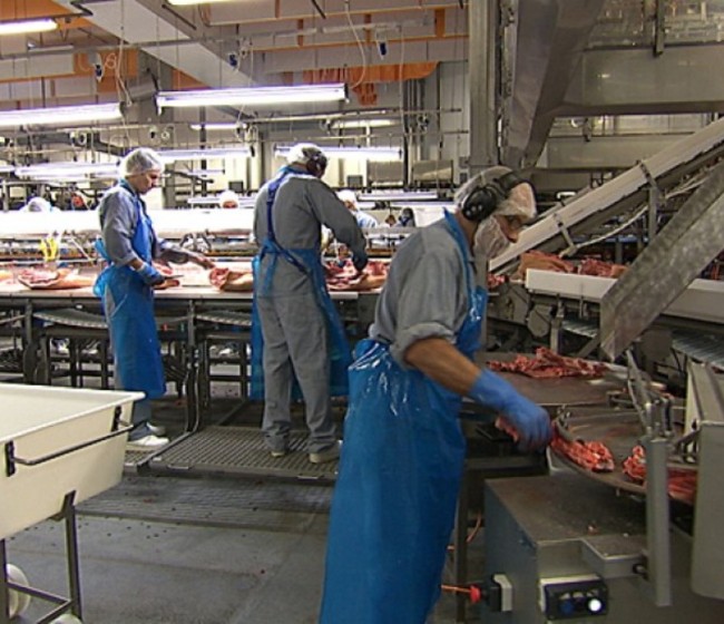 Bruselas decide suspender las solicitudes al almacenamiento de carne de porcino desde el 21 de enero