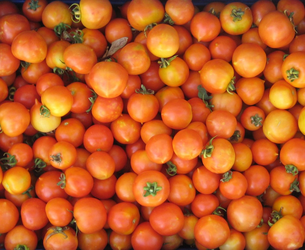 FEPEX pide medidas de salvaguardia a la importación de tomate marroquí